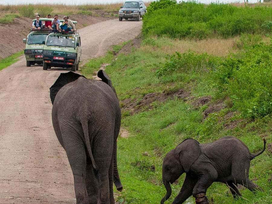 Queen Elizabeth National Park